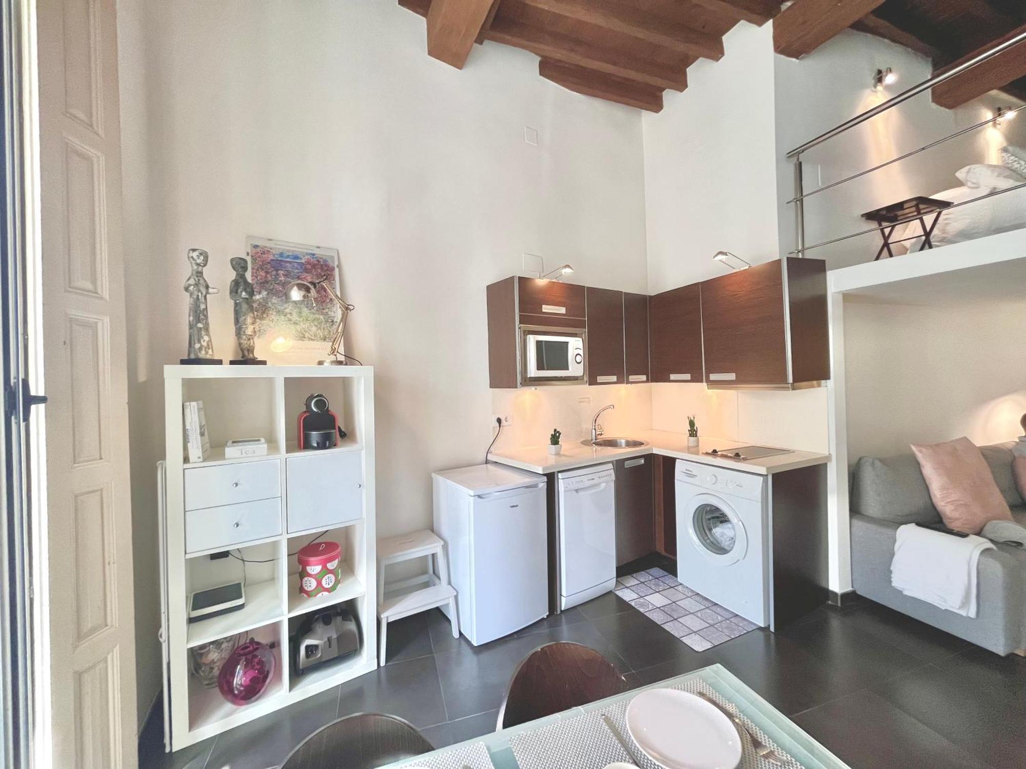 Apartament Loft Especeria Centro *